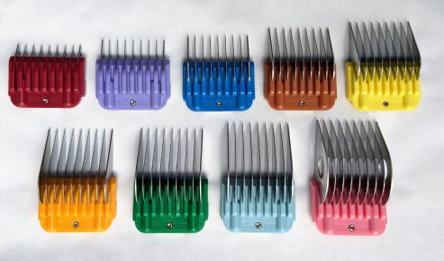 Bucchelli 9 piece Detachable Stainless Steel Colored Comb Set