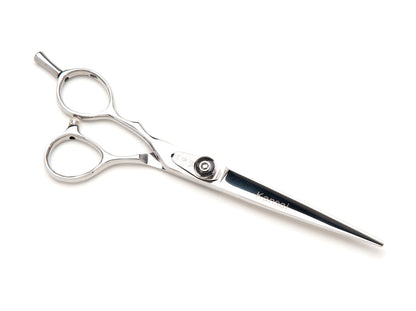 Kansai Beauty Shear and Thinning Shear Set